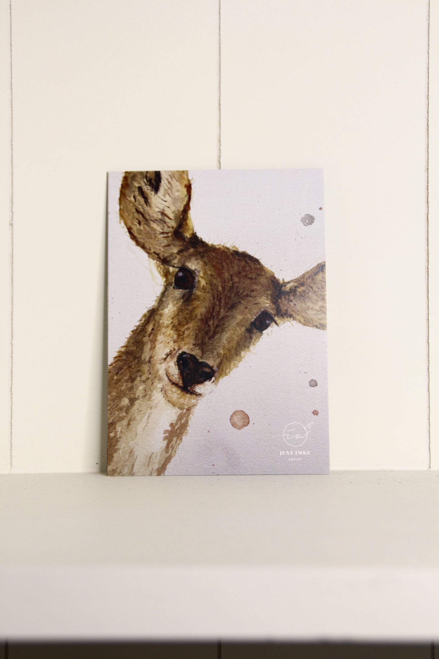 Postcard Collection - Little Animal